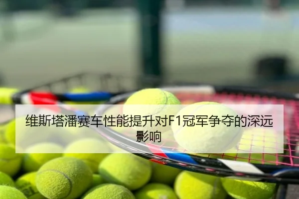 wei-si-ta-pan-sai-che-xing-neng-ti-sheng-dui-guan-jun-zheng-duo-de-shen-yuan-ying-xiang-2-791.jpg